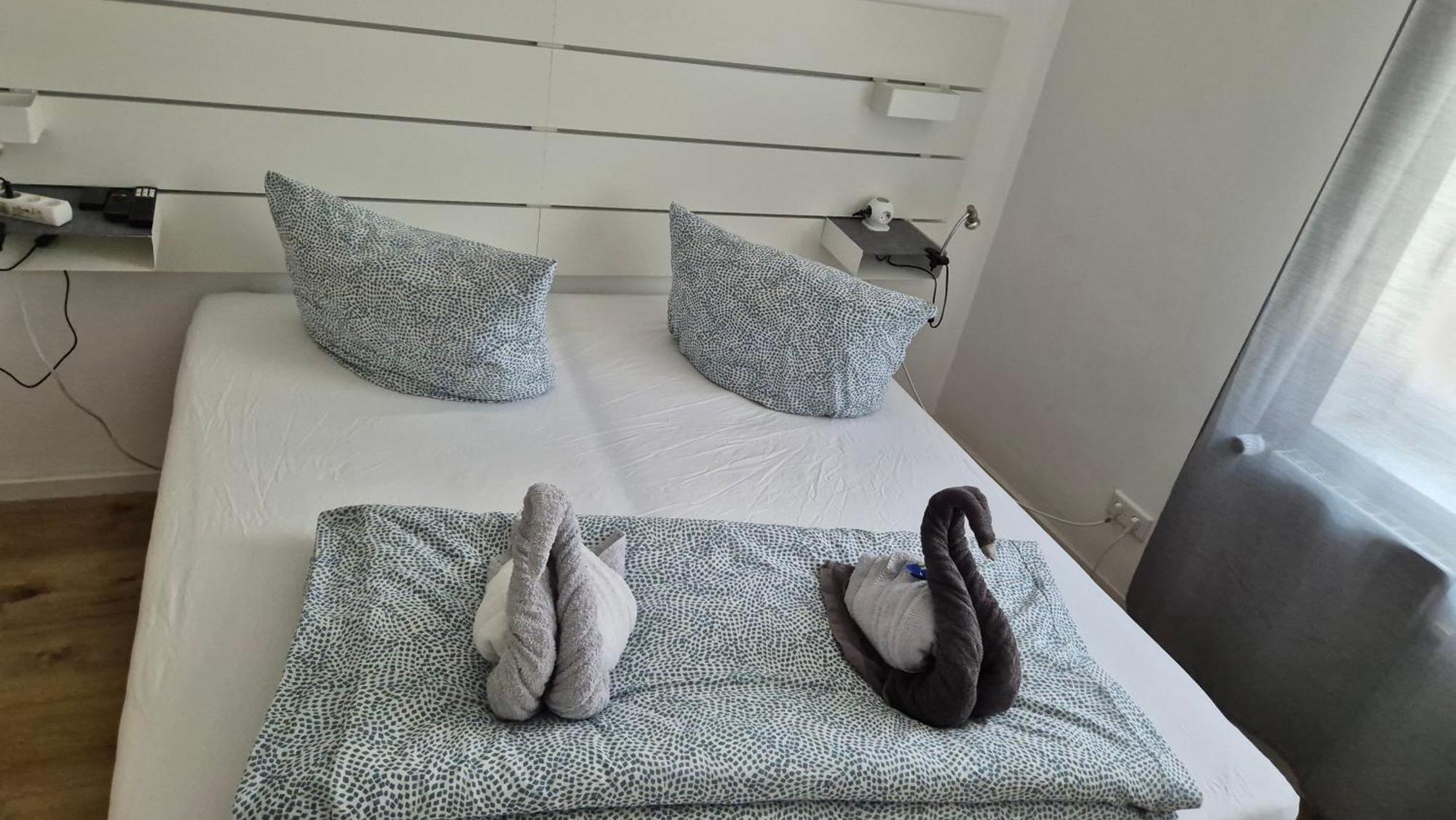 House Apartment Kaiserslautern
